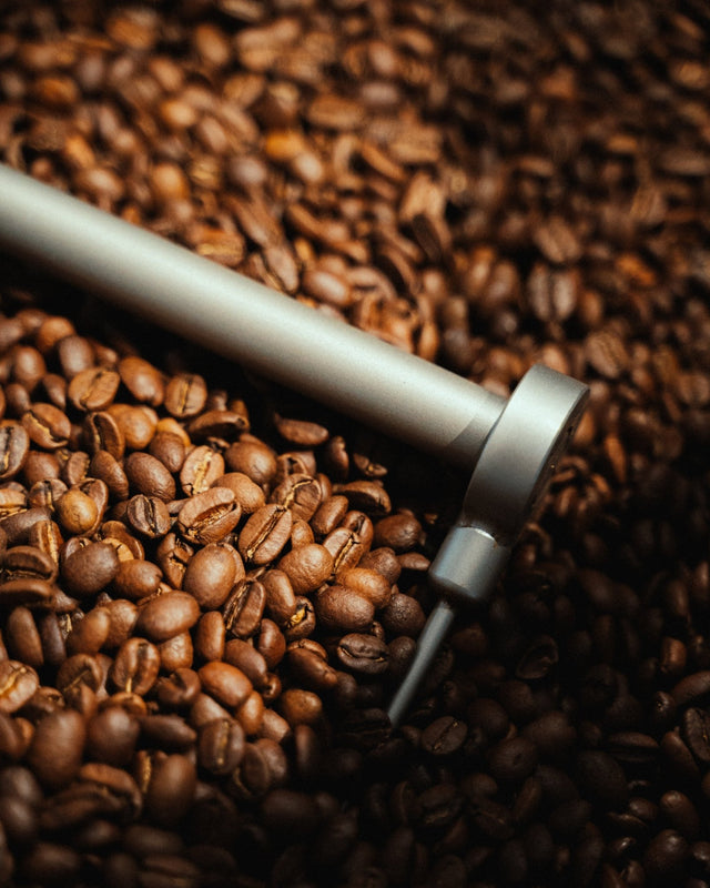 WELCHER KAFFEE FÜR DEN SIEBTRÄGER? - Optimist Coffee