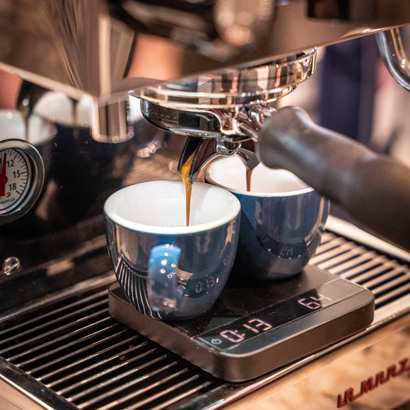 ESPRESSO ESSENTIALS - Optimist Coffee