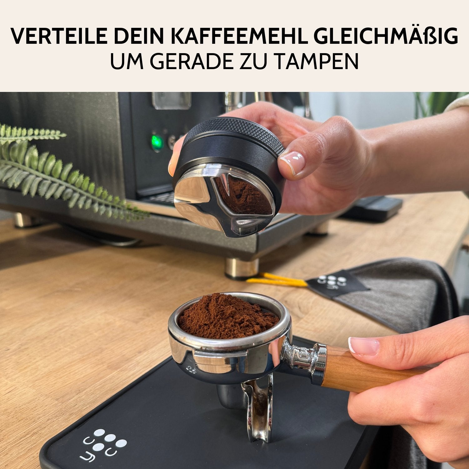 LEVELER 58 MM COYOOCO - Optimist Coffee