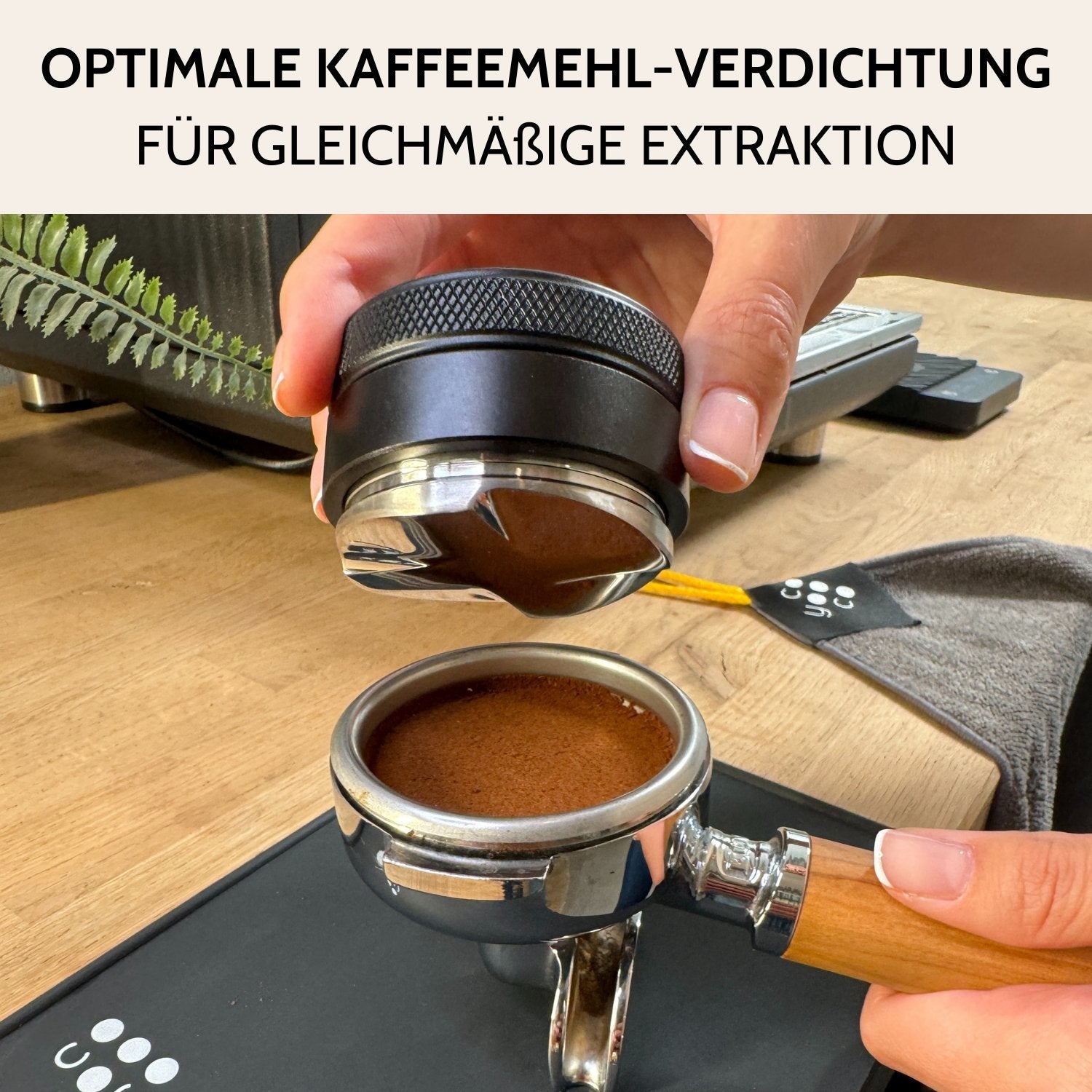 LEVELER 58 MM COYOOCO - Optimist Coffee