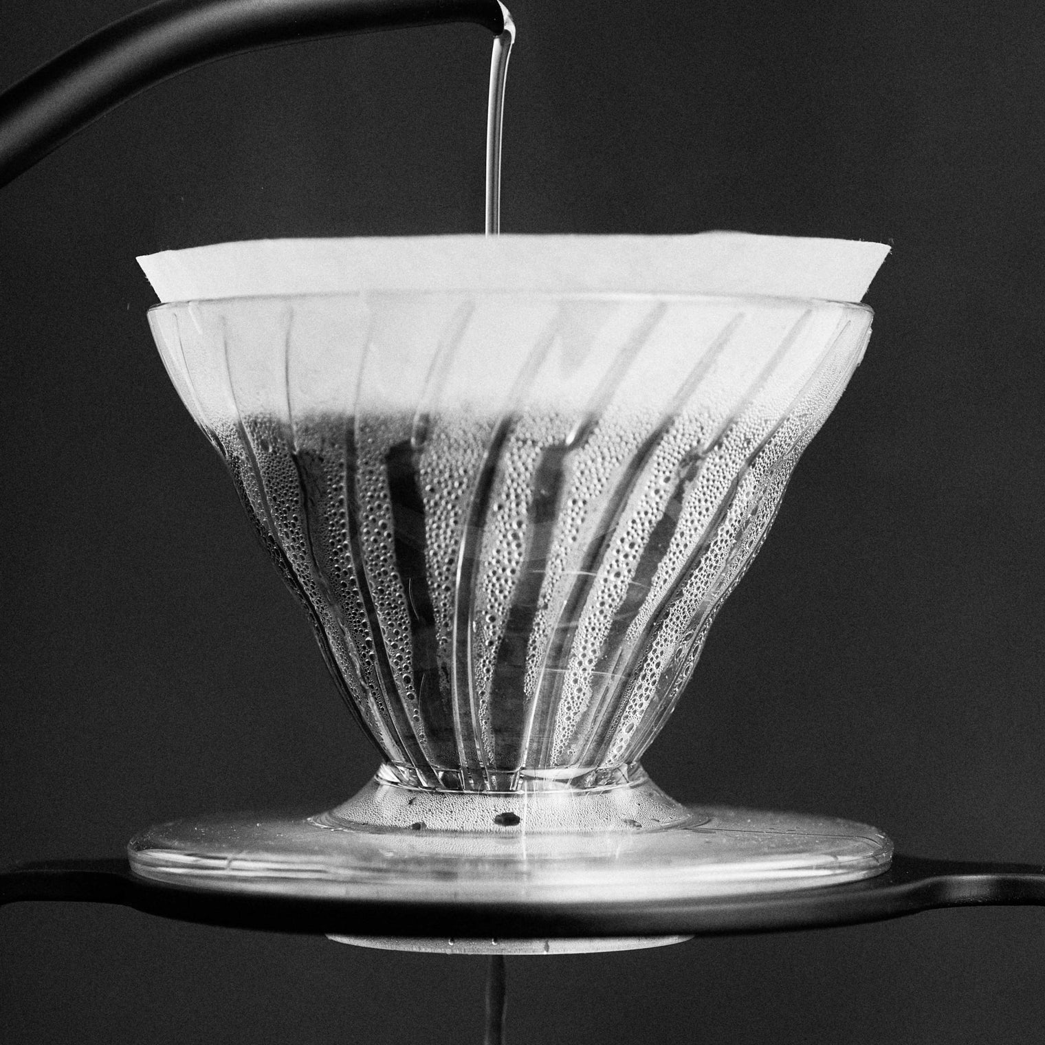SIBARIST FILTER - Optimist Coffee