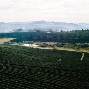 ORIGIN STORIES – FAZENDA PINHEIRO - Optimist Coffee