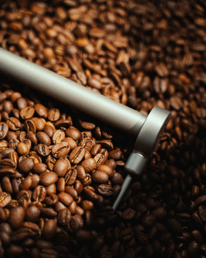 WELCHER KAFFEE FÜR DEN SIEBTRÄGER? - Optimist Coffee
