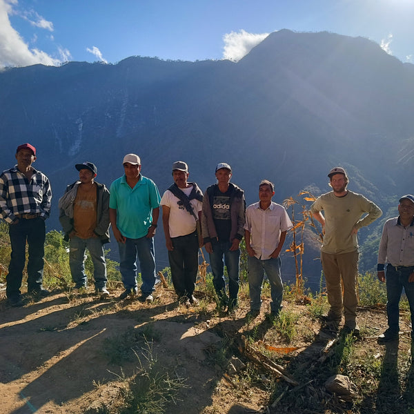 DECAF OMNIROAST - Optimist Coffee