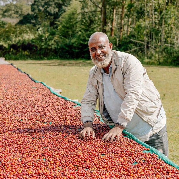 FRÜHLING - Optimist Coffee