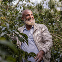 MENSUR ABAHIKA - Optimist Coffee