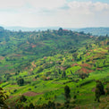 MUNYINYA - Optimist Coffee