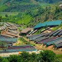 Kaffeekirschen-Verarbeitung in der Bukeye Washing Station, Burundi – Foto: Long Miles Coffee