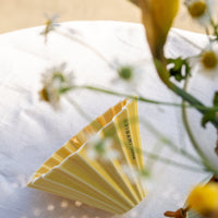 ORIGAMI GESCHENKBOX – LIMITIERT - Optimist Coffee
